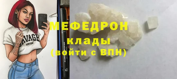 шишки Билибино