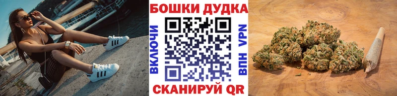 Канабис ГИДРОПОН  Видное 